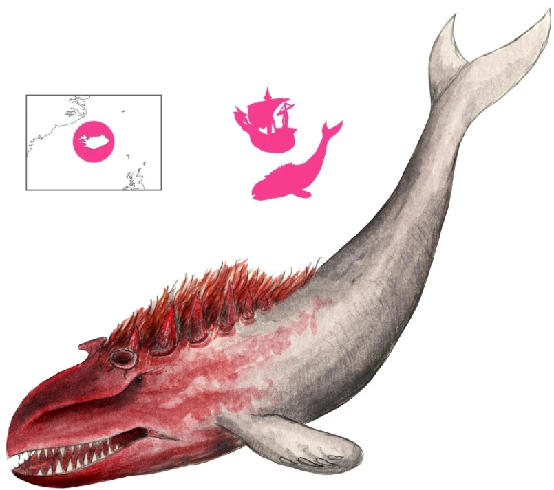 Rauðkembingur, courtesy of abookofcreatures.com